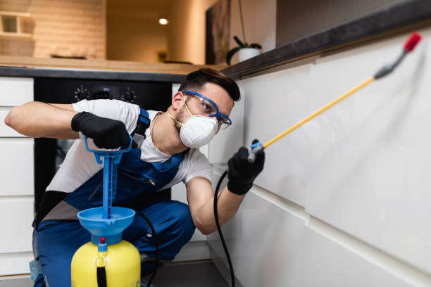  Spencerville, OH Pest Control Pros