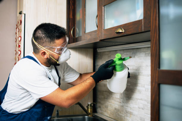 Best Exterminator Services  in Spencerville, OH