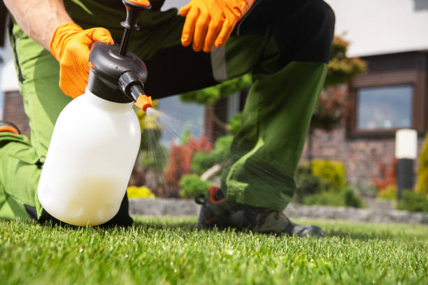 Best Termite Control Services  in Spencerville, OH