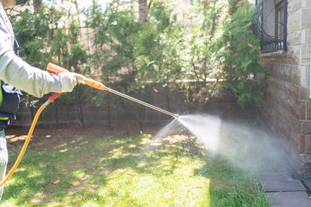 Wildlife Control Services in Spencerville, OH
