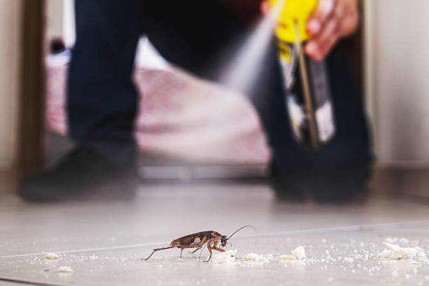 Best Pest Prevention Services  in Spencerville, OH