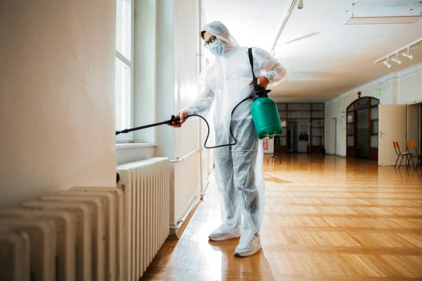 Best Termite Control Services  in Spencerville, OH