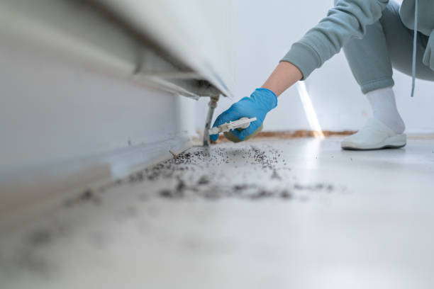 Best Pest Control Near Me  in Spencerville, OH